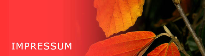 Bild für die Seite Impressum - Zeigt Blätter eines roten Busches